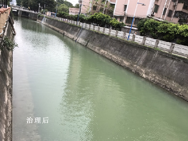天河区程界西涌河道