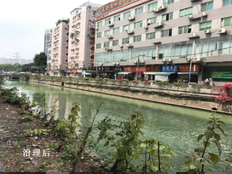 天河区棠下涌