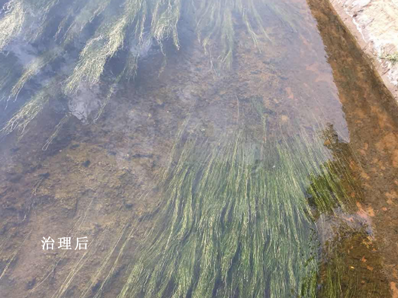 山东虞河河道